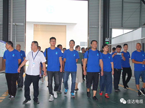 蜜桃传媒网站入口電纜有限公司,蜜桃传媒网站入口電纜,湖南蜜桃传媒网站入口，