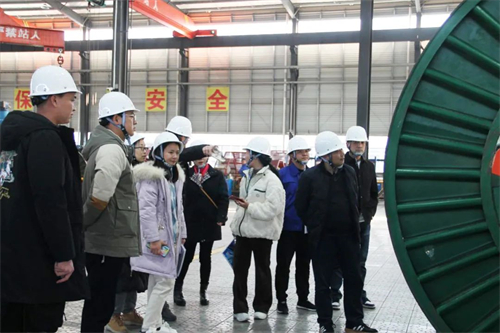 蜜桃传媒网站入口電纜有限公司,蜜桃传媒网站入口電纜,湖南蜜桃传媒网站入口，
