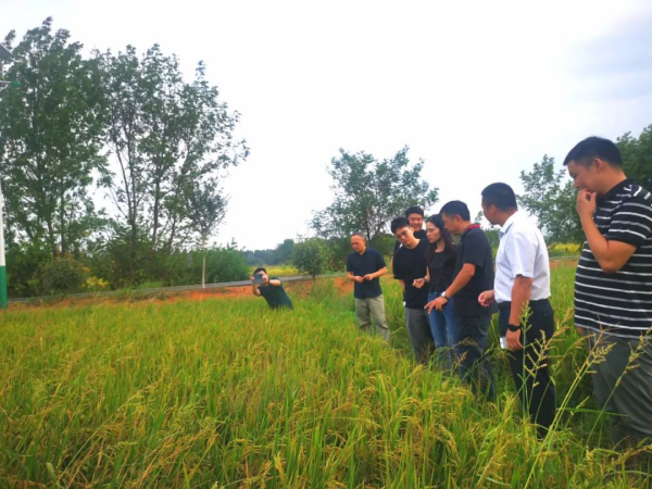 蜜桃传媒网站入口電纜有限公司,蜜桃传媒网站入口電纜,湖南蜜桃传媒网站入口，